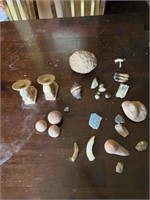 LOT OF SOUVENIER ROCKS, BONES & SHELLS