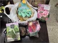 Bag of Elephant Ear & Floral Seeds