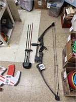 compound bow and arrows