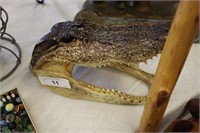 LARGE ALLIGATOR HEAD