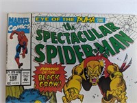 the Spectacular Spiderman #192