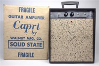 Vintage 1960s Capri Guitar Amplifier & Box (Works)