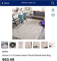 2-ft x 4-ft area rug