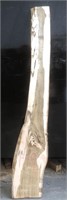 Kiln dry Spotted Gum slab dressed 2240x225-395x50