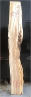 Kiln dry Spotted Gum slab dressed 2390x325-345x60
