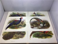 Collection of 19x24 Pheasant Lithographs.