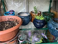 Shelf of Ceramic Plant Pots