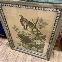 VINTAGE BIRD PRINT FRAMED