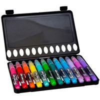 $20  Deluxe Hair Chalk Salon Kit