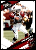 Parallel Steve Breaston Arizona Cardinals