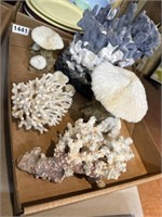 Ocean Coral lot