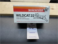 Brick of Winchester Wildcat 22 LR Ammo