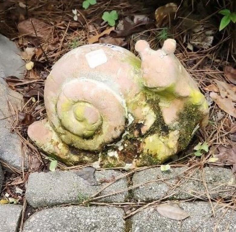 Terracotta snail 11" wide