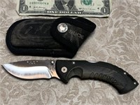 Buck Knife with sheath