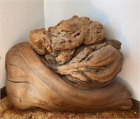 Large Burl Wood Piece 30x20x8 aprox