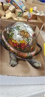 Light up turtle