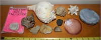 Lapidary Lot + w/ Geodes, Fossilized Shell ++