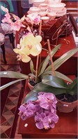 Three permanent botanical orchids, 22", 19" and 9"