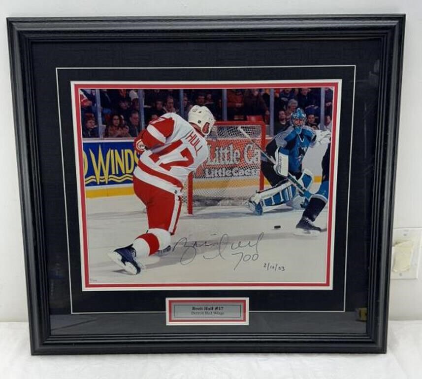 26x30in brett hull Detroit red wings autographed