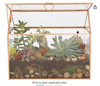 Glass Terrarium, Succulent, Air Plant