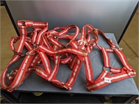 5 red and white horse halters