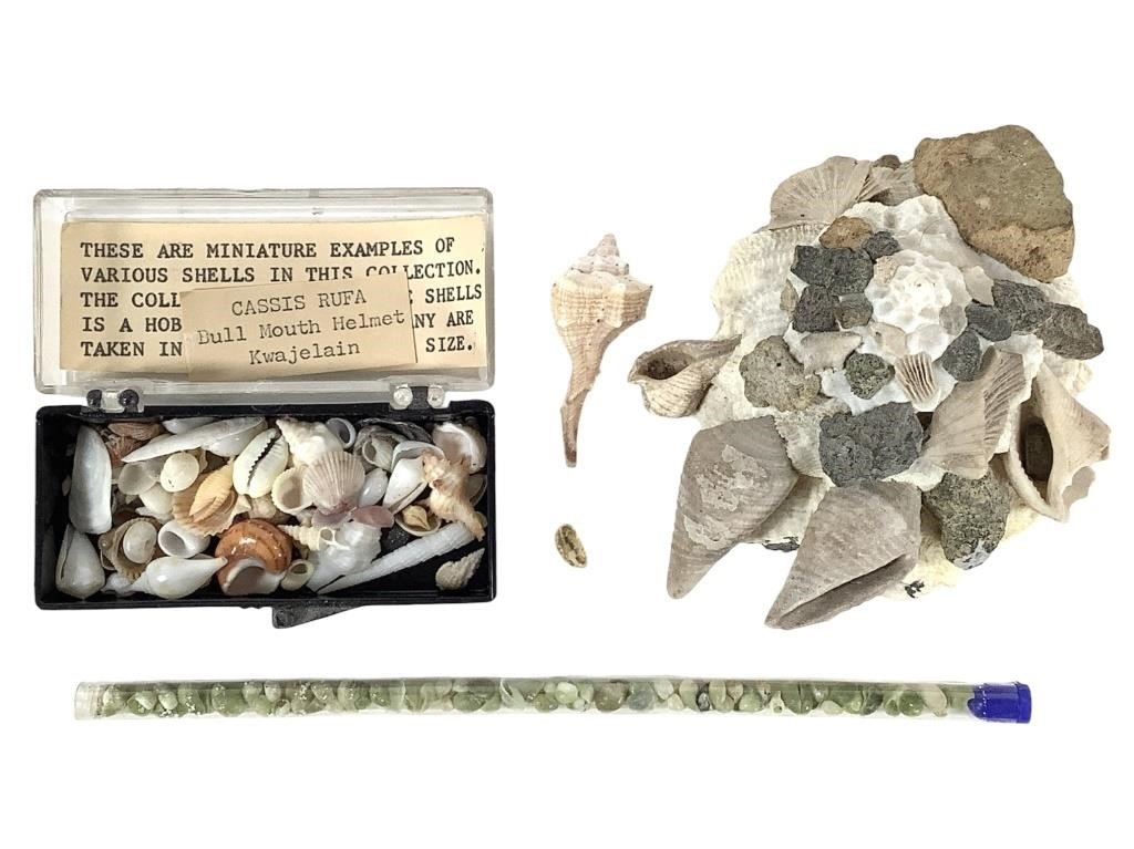 June 21 Weds. Rocks Shells Maps & Globes Collector Auction