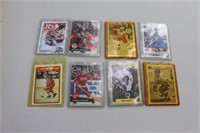 Hockey Trading Cards in Protective Sleeves