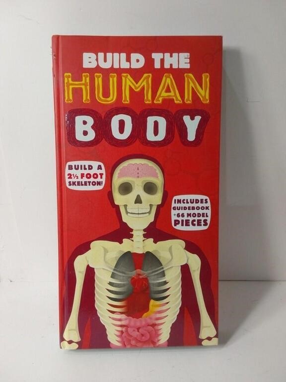 Silver Dolphin BooksBUILD THE HUMAN BODY U15AU15A6