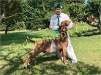 Robbie Shoemaker, Hydesville 4-H, Market Goat