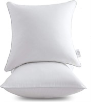 Oubonun 22 x 22 Pillow Inserts (Set of 2)