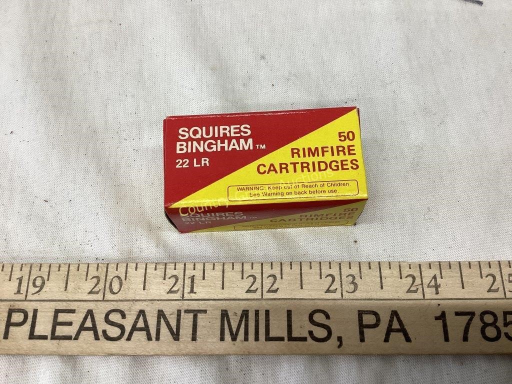 Squires Bingham 22LR Cartridges