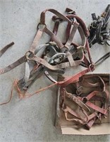 box of assorted halters