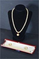 Stunning Simulated Pearl Jewelry Set