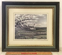 MACASKILL "BLOSSOM ANNAPOLIS VALLEY"1929 SIGNED T