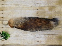 FOX TAIL TAXIDERMY