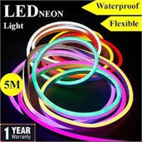 5M Led Neon Flex lights 12V 2835 Led Waterproof