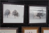 2 FRAMED LANDSCAPE PRINTS 22"X20"