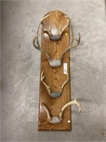 Antlers Mounted on Plaque