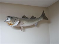 Fish wall mount/ bass