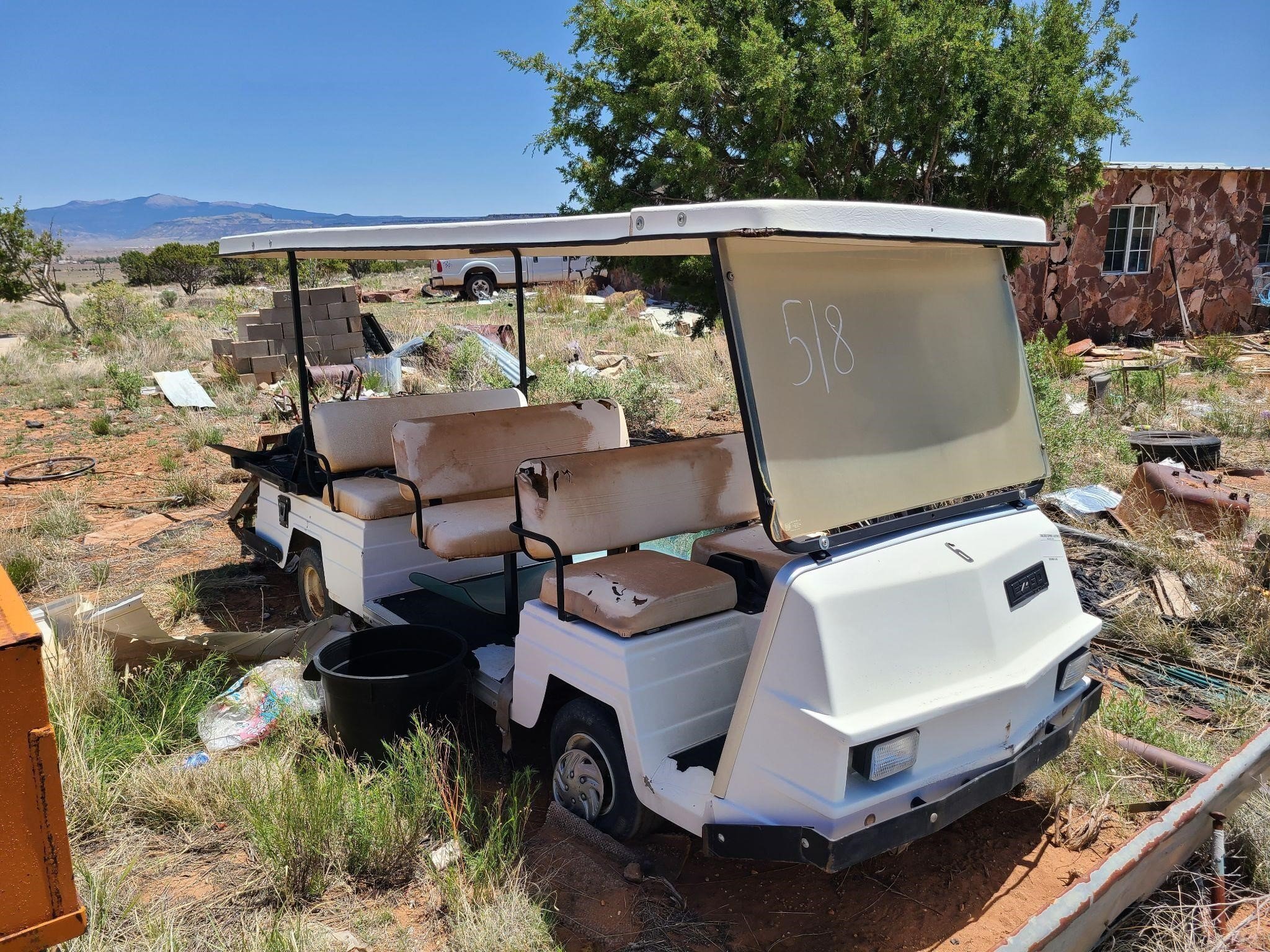 6 Person EZ-GO Golf Cart