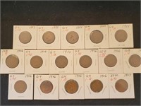 16) Indian head pennies
