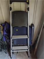 Easy Reach Step Ladder (Shed 1)