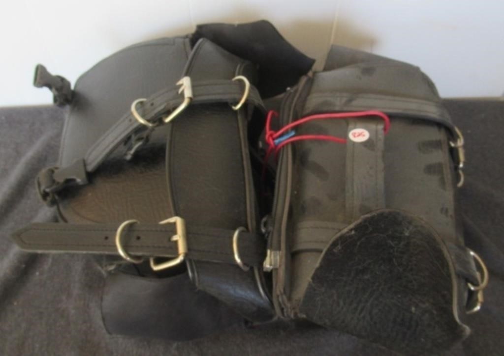 Leather Tourmaster saddle bags.