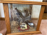 MOUNTED GROUSE IN ENCLOSED END TABLE / DISPLAY