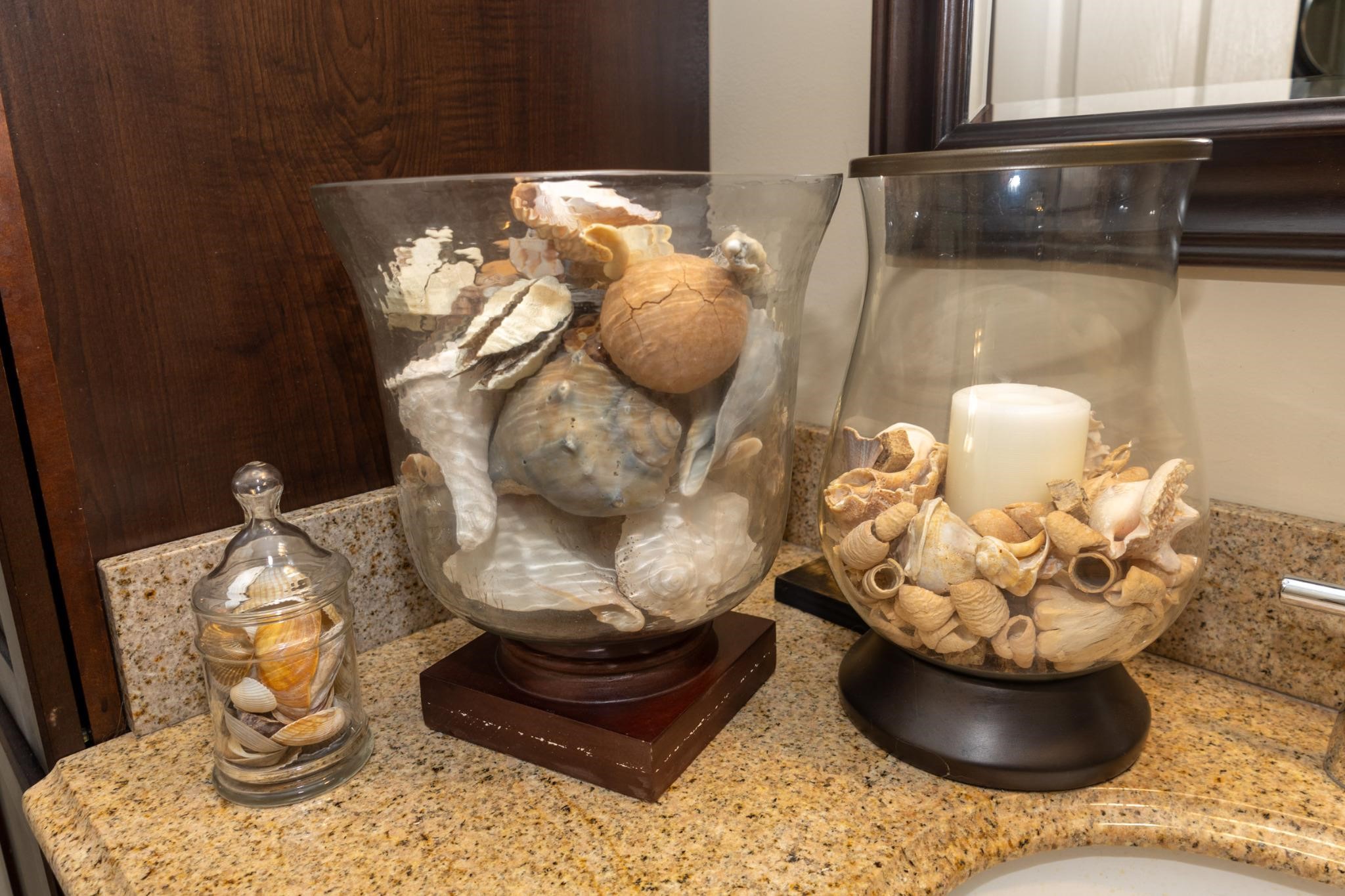 Collection of seashells in glass hurricane jars