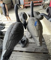 4 - Plastic Canadian Goose Decoys