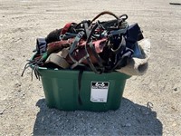 Horse Tack