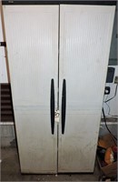 Large Plastic Cabinet with All Content