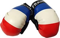 FRNACE SMALL BOX GLOVES FOR CAR MIRROR