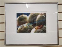 Framed cactus picture